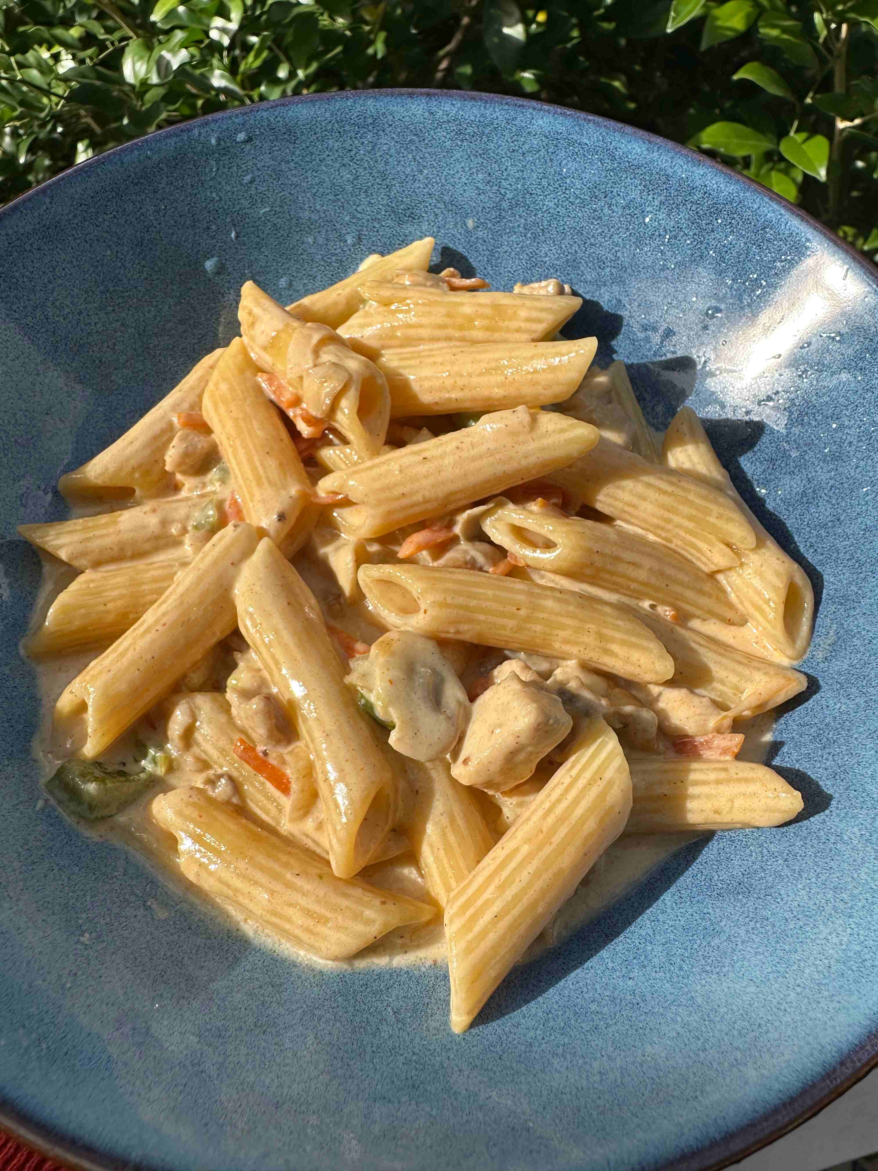 White Sauce pasta for 1 person